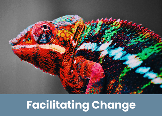 Facilitating Change